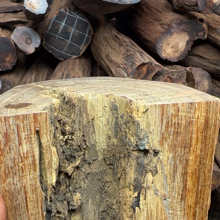 守***你木质降真香开料直播间