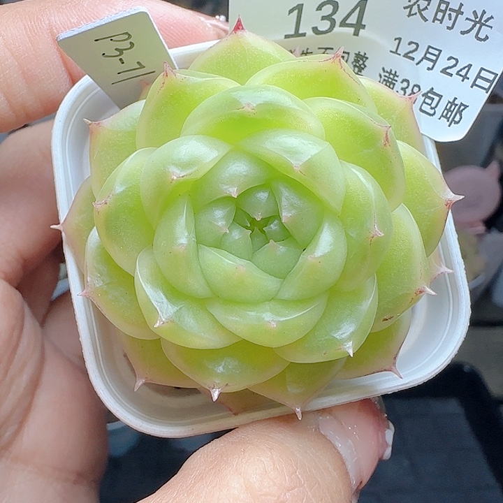 1224-134p3-71优选