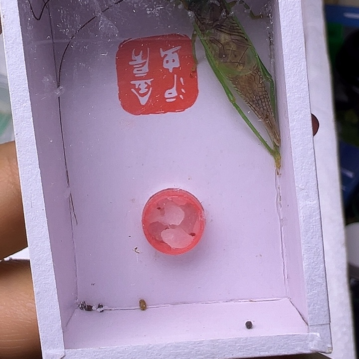 易***阳哈哈哈哈哈哈哈哈哈哈哈哈哈哈哈