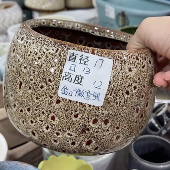 多肉绿植陶瓷花盆9.9包邮，有孔