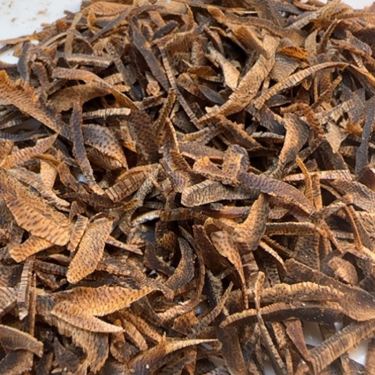 沉香摆件陆河虫草丝30克