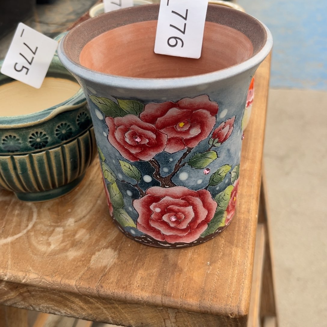 C***s776多肉花盆65元1个