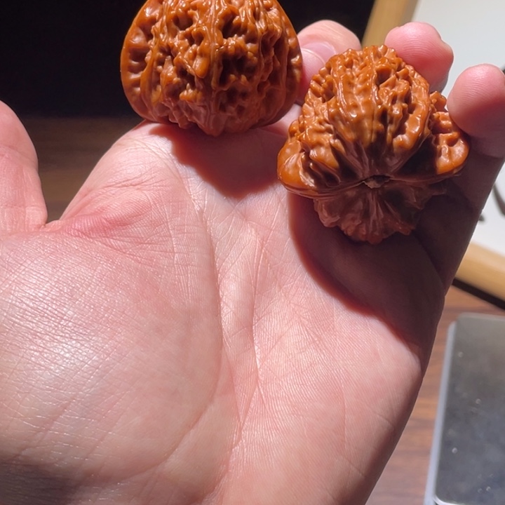 陆***树把件文玩核桃42白狮子回血