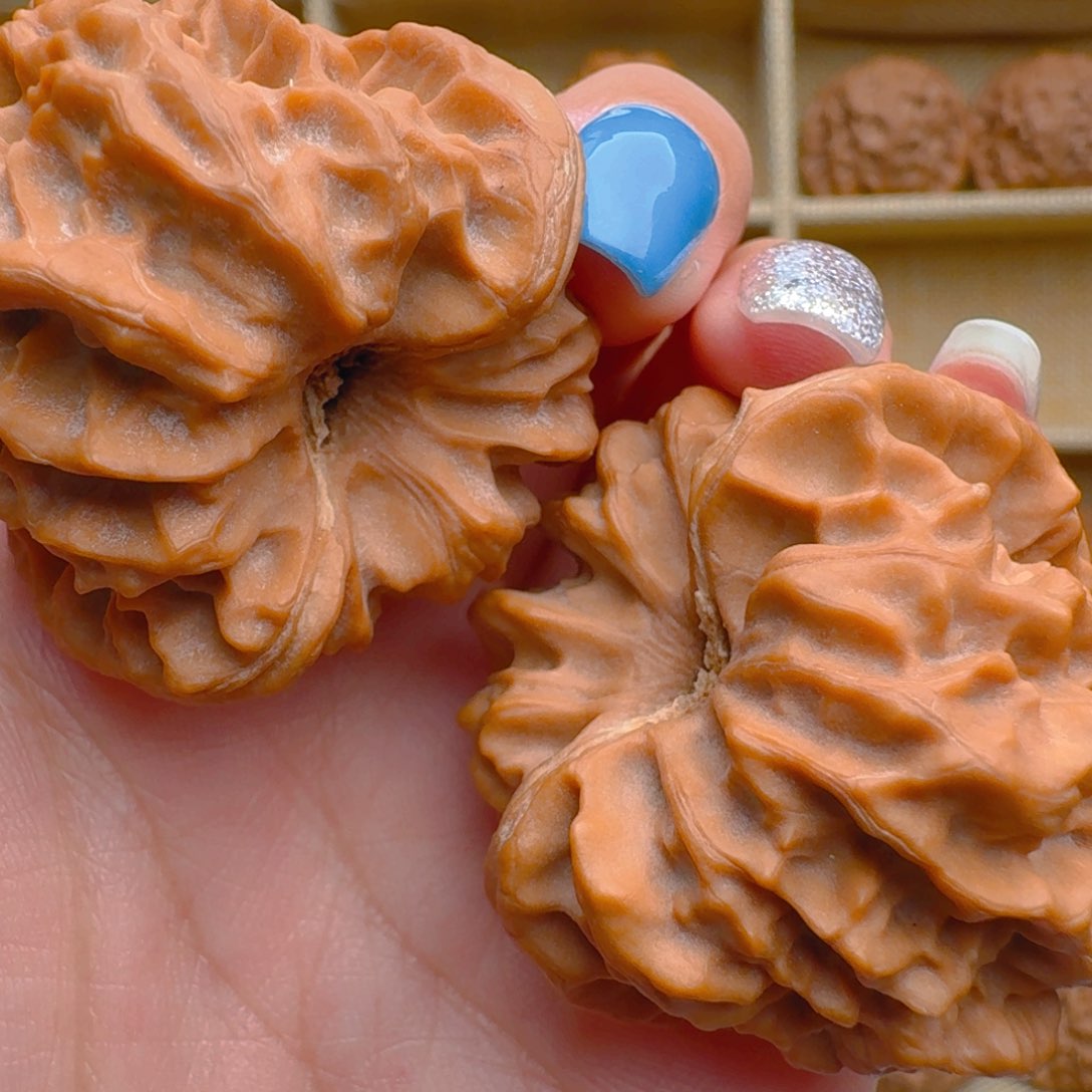 核桃把件38尺寸曹大龙