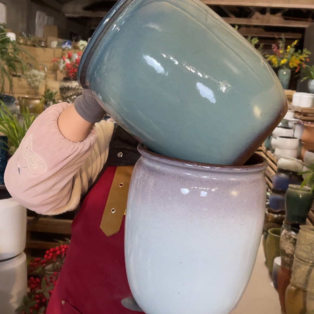 红陶高度25口径19