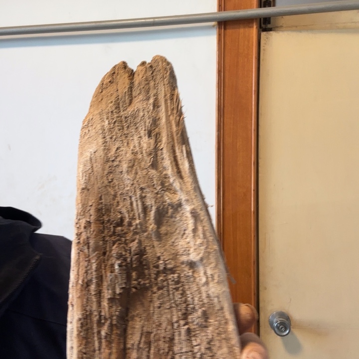 柏***鉴有机玻璃太好崖柏