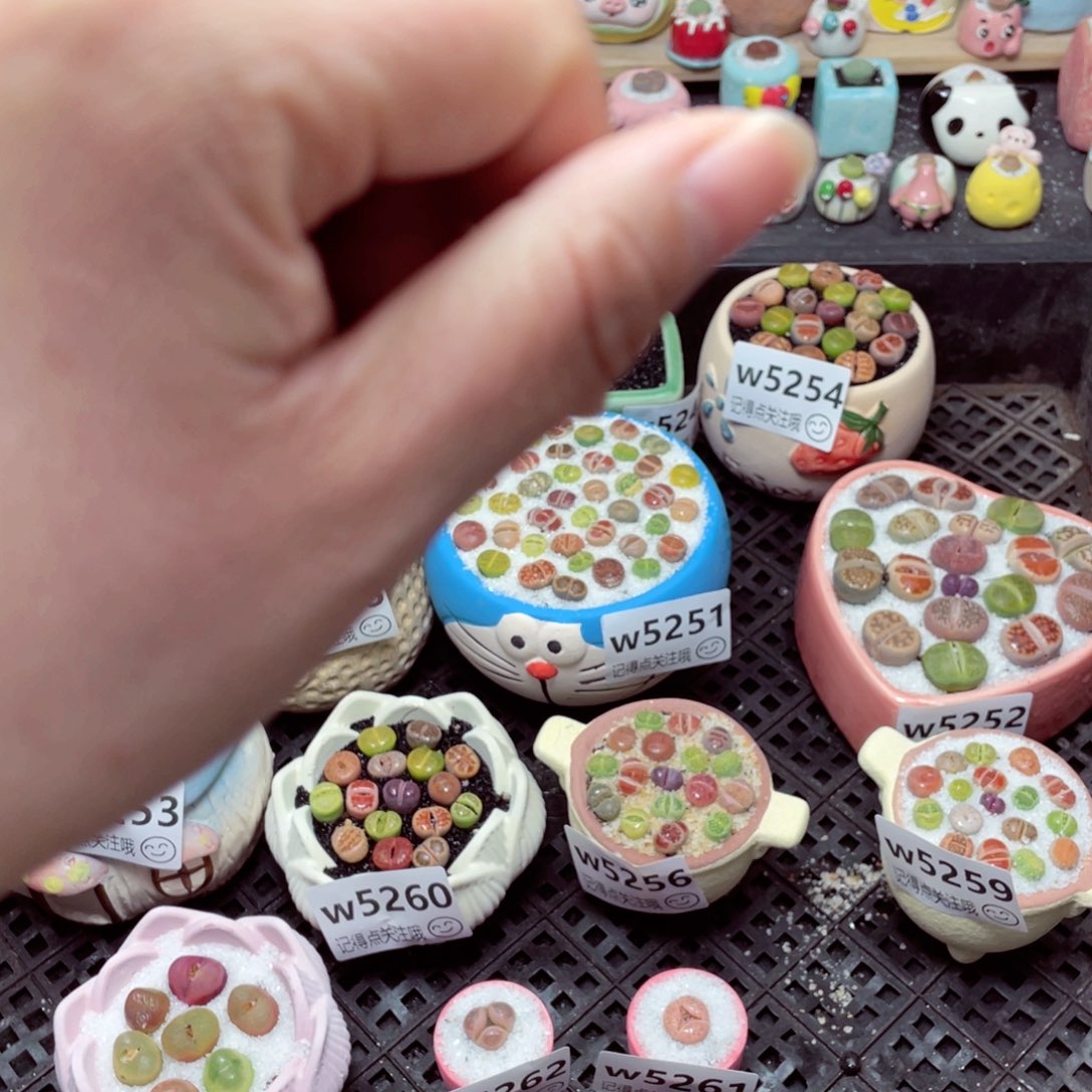 桑*w保温箱m m m m m m