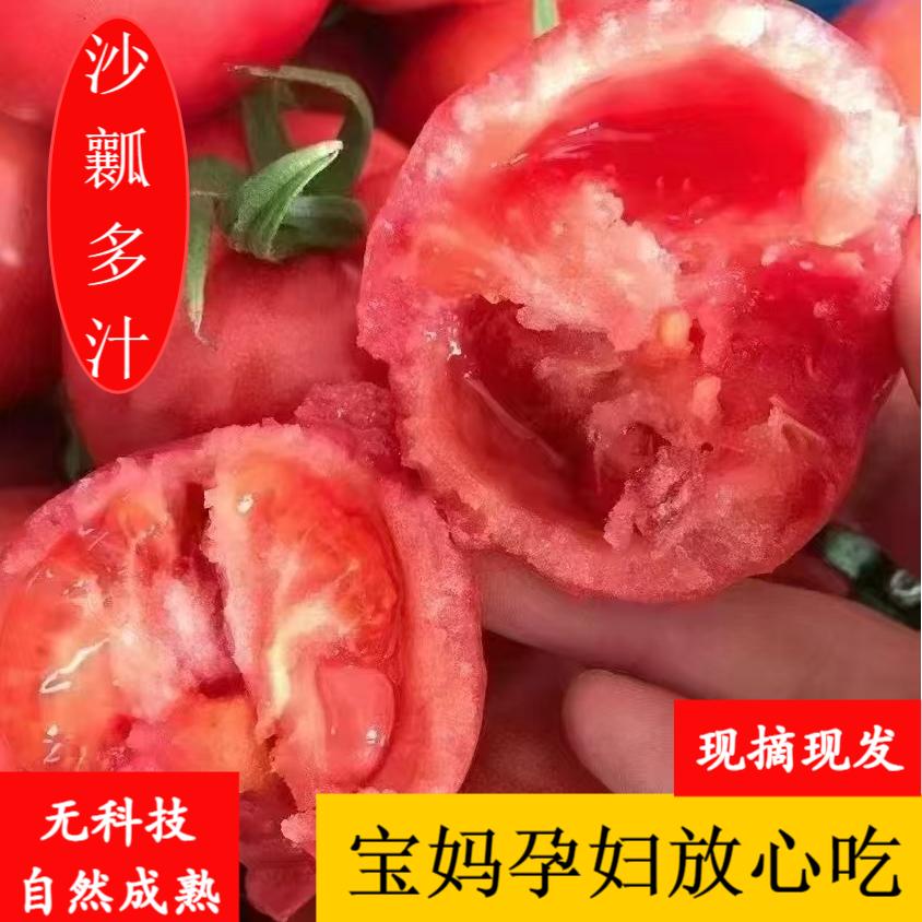 【顺丰包邮 】陕西泾阳普罗旺斯水果西红柿沙瓤汁多 自然成熟