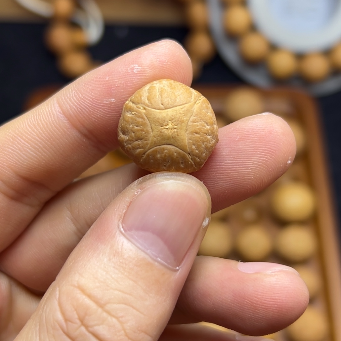 手串凤眼菩提19.2麒麟眼