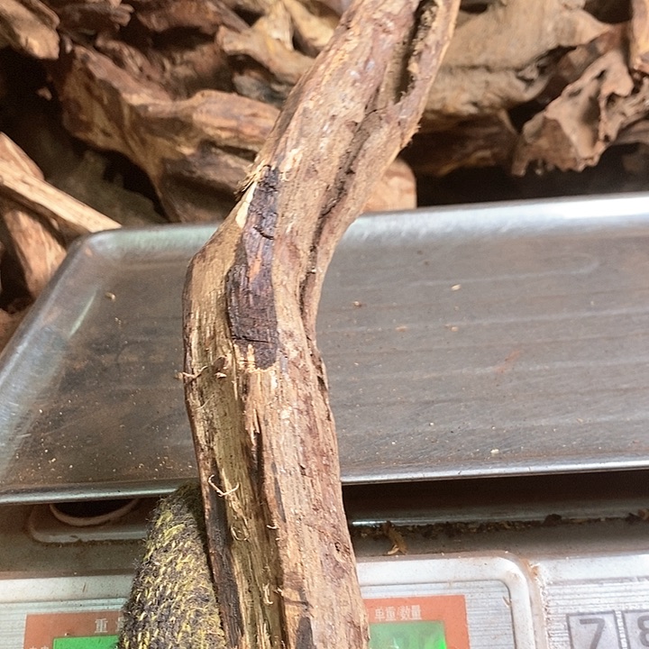 花梨木类曾*敏海南黄油梨