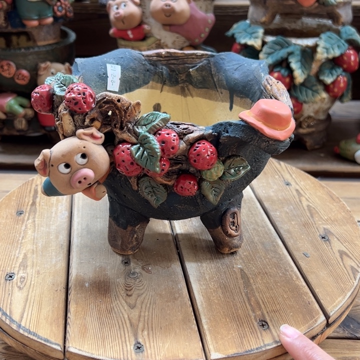 嘻哈多肉花盆百搭