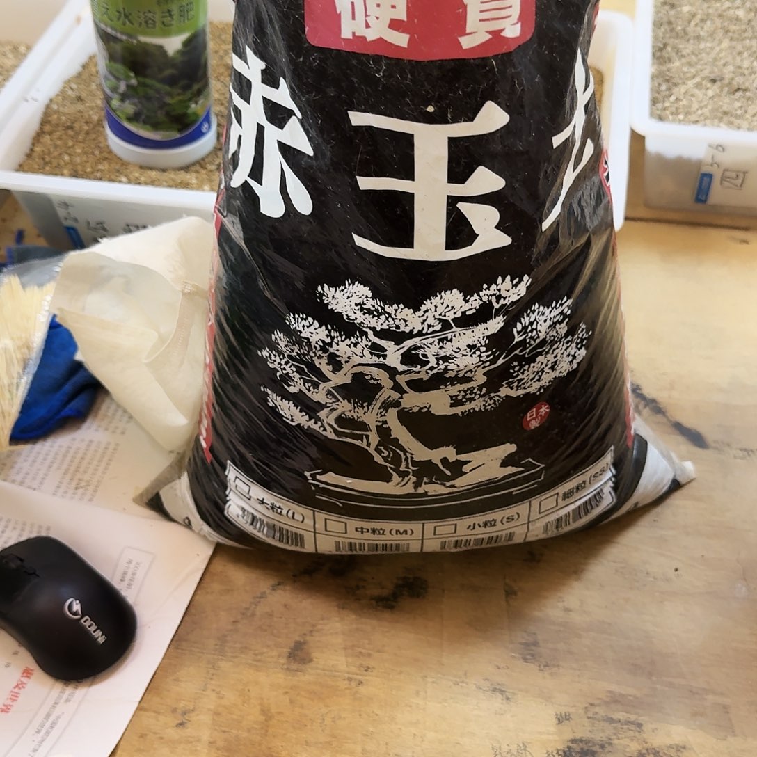 张春乐黑大袋赤玉土3—6受潮处理