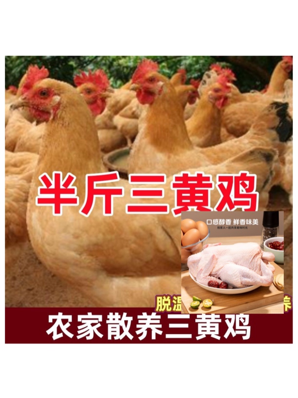 土鸡三黄鸡正宗农家土鸡散养土鸡鲜美整只