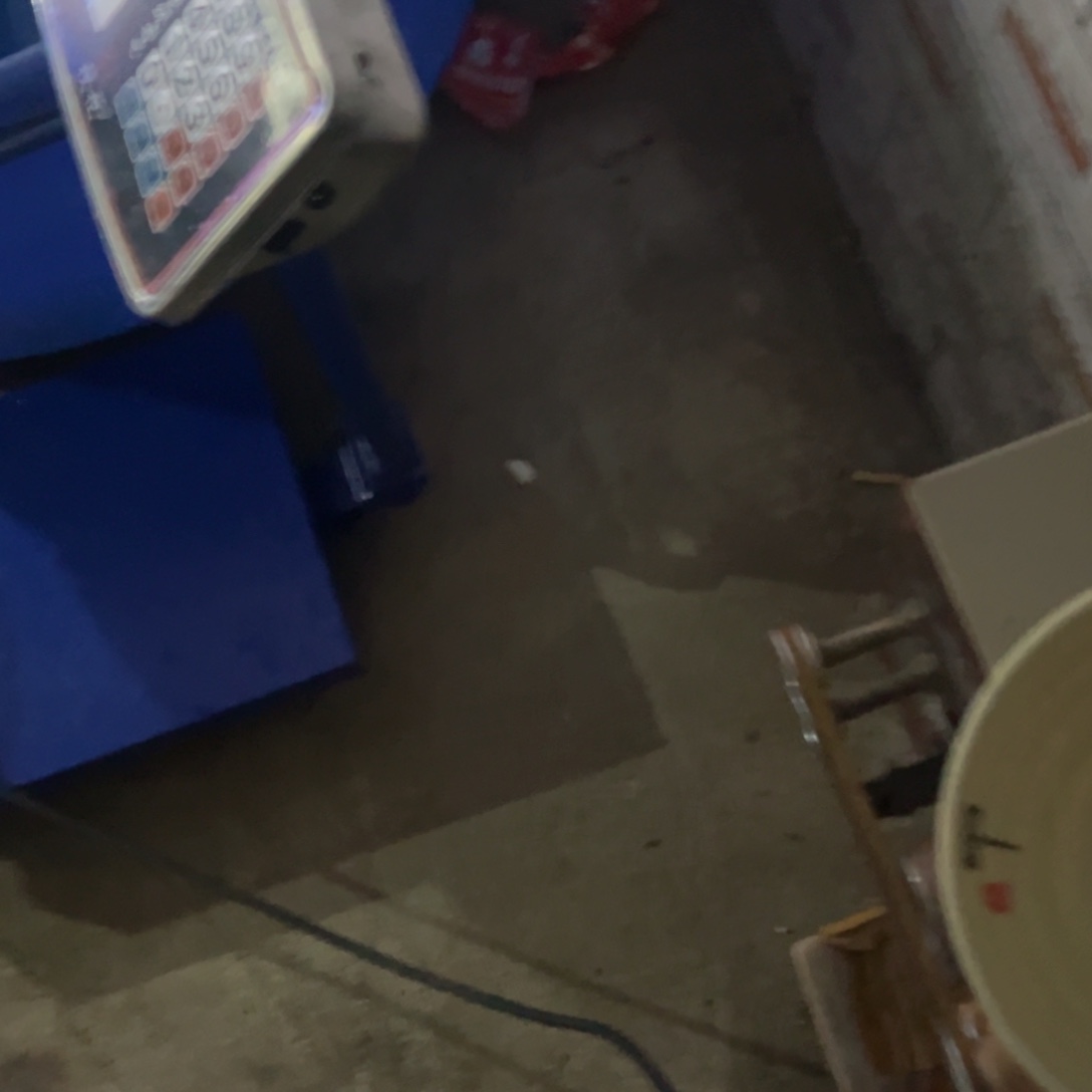 奶****锦鲤锦鲤观赏鱼666