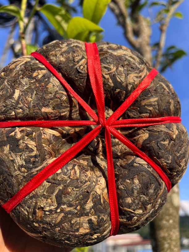 邦东金瓜古树 纯料 普洱茶生茶 1000克