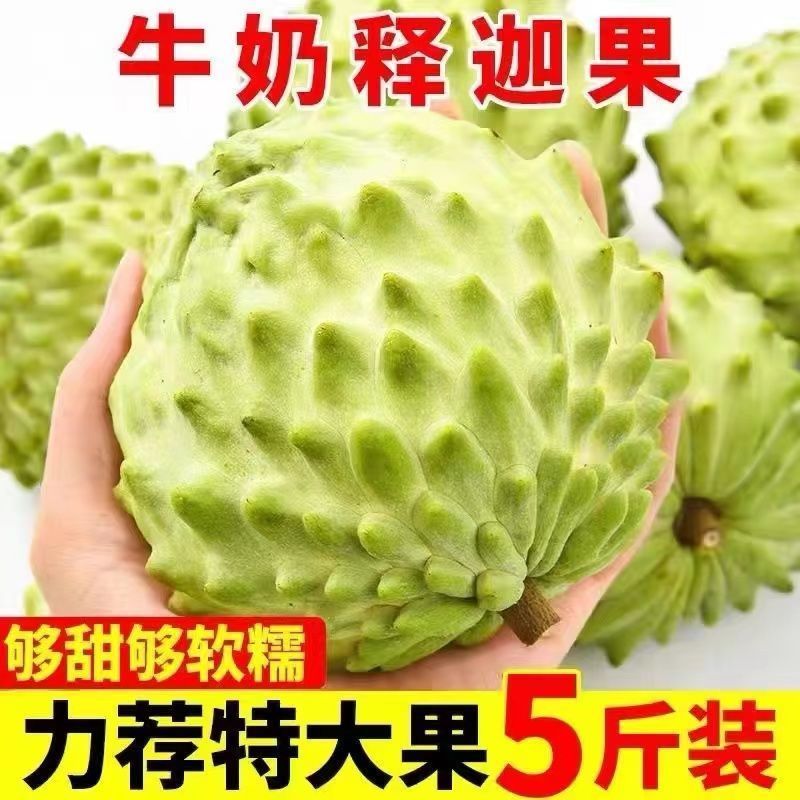 新鲜牛奶凤梨释迦当季整箱新鲜水果林檎老树大果番荔枝摩尼果佛头