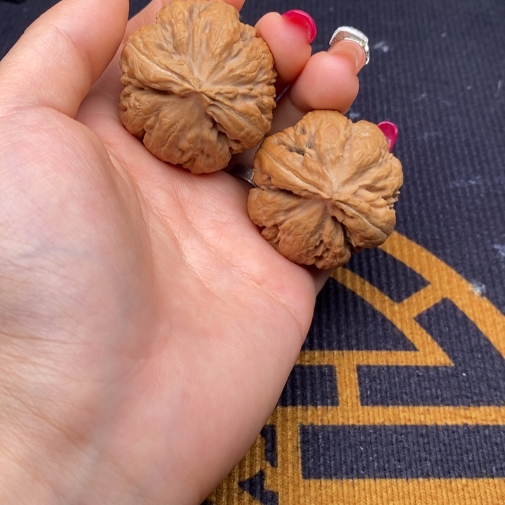 霸王龙文玩核桃文玩