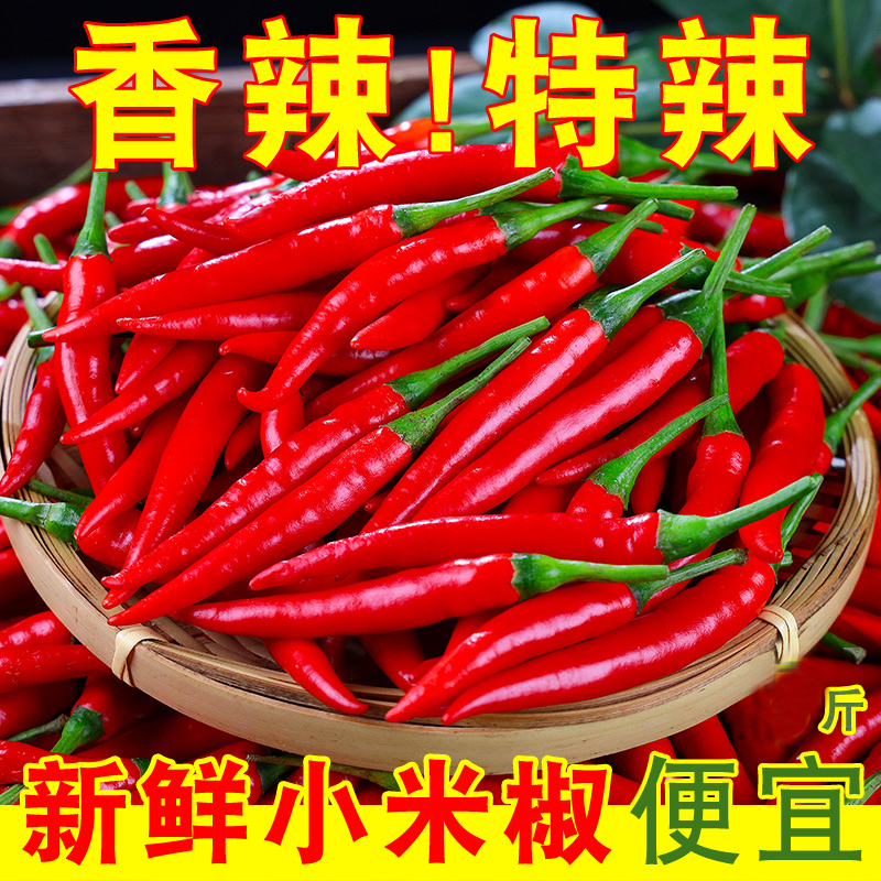 小米辣椒新鲜5批发小米椒朝天椒特辣超辣薄皮土红辣椒指天椒10