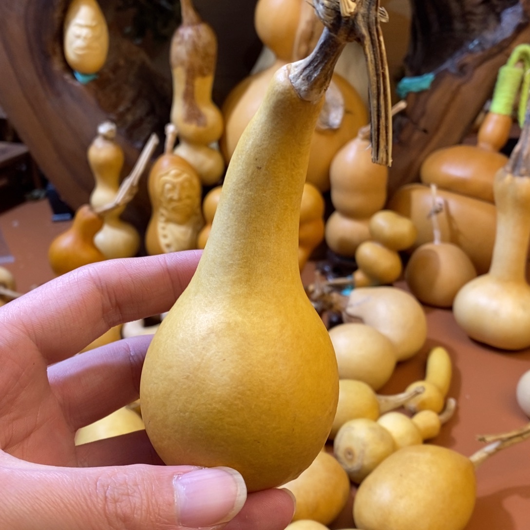 二***哥教练教练教练经理