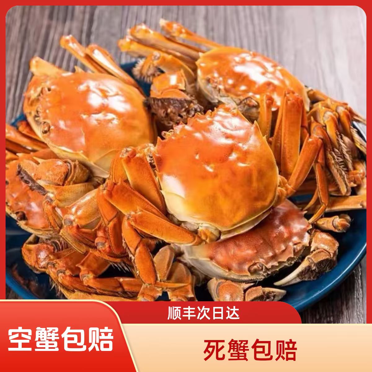 宠粉福利【大活蟹】【全母蟹】到手30只20只送10只盘锦河蟹海鲜 1-0.8两/只 【顺丰明天到】死蟹按只赔