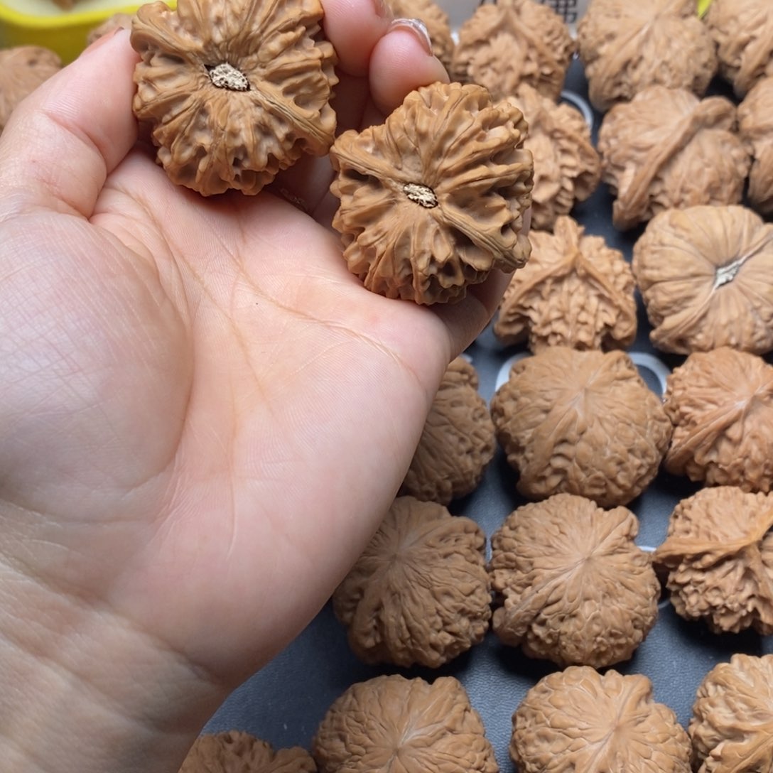 文玩核桃把件南**天龙门40