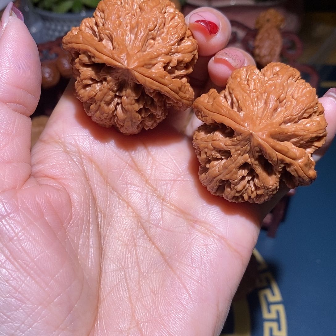 文玩核桃把件43粗筋