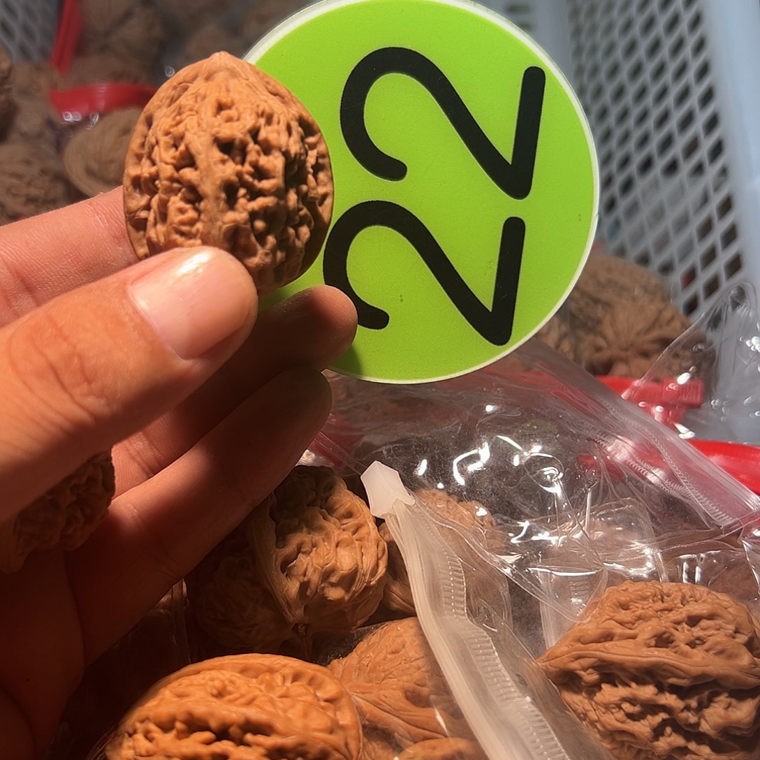 安****文玩核桃，绿色22号