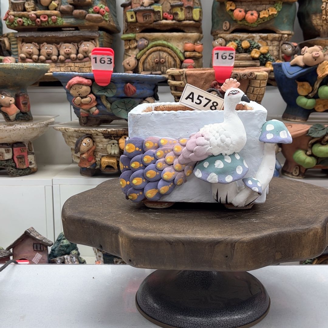 红陶花盆578白狐