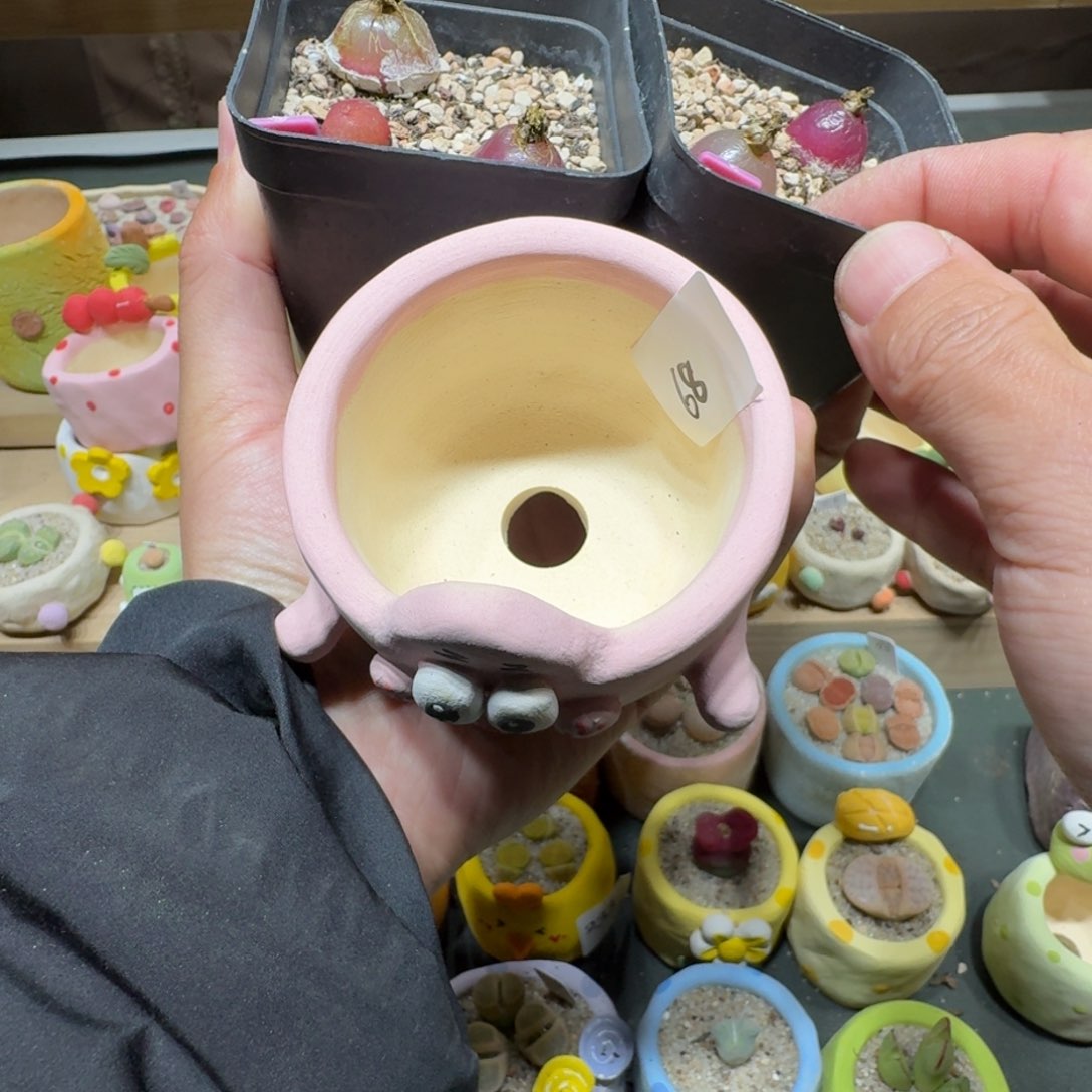 红陶ʚ****ɞ蘑菇260灯泡