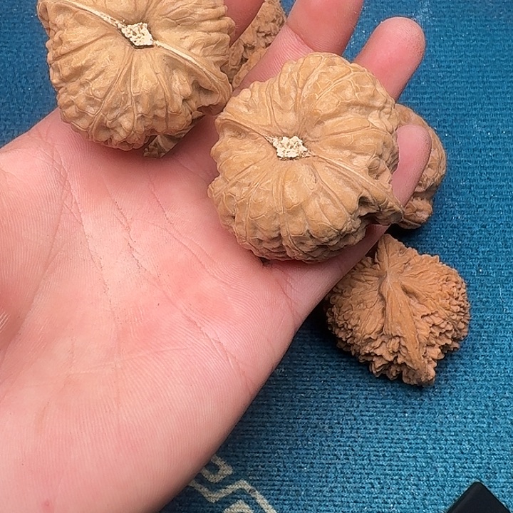 方***河吊坠文玩核桃给哈哈哈哈哈哈哈哈