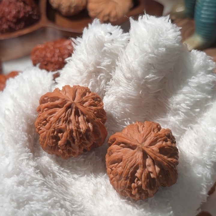 文玩核桃吊坠粉丝回血 联系主播