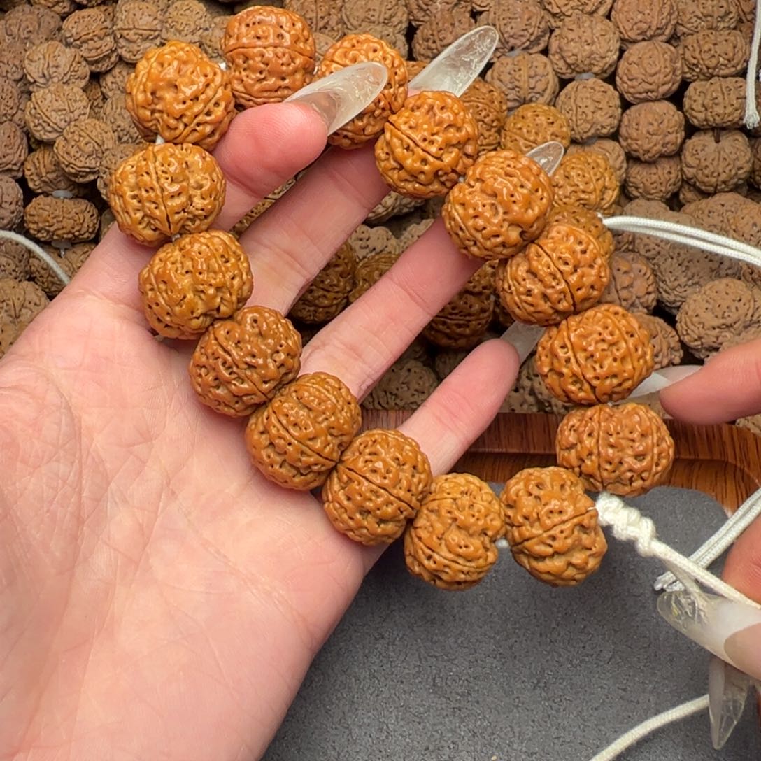 菩提4号尼泊尔大金刚21六瓣蜂窝