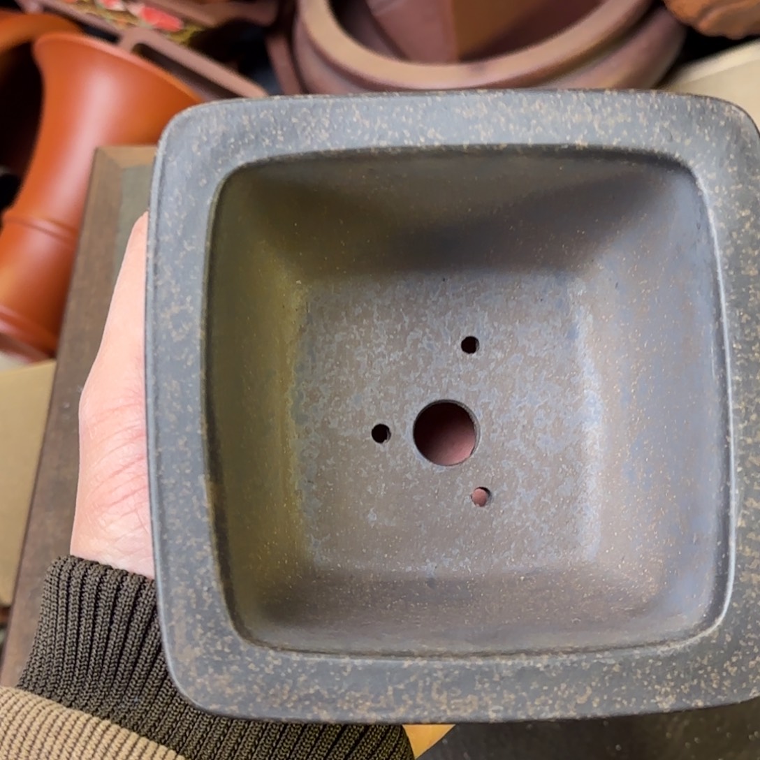 泥塑vvvvvvvvvvvvv9.5+5