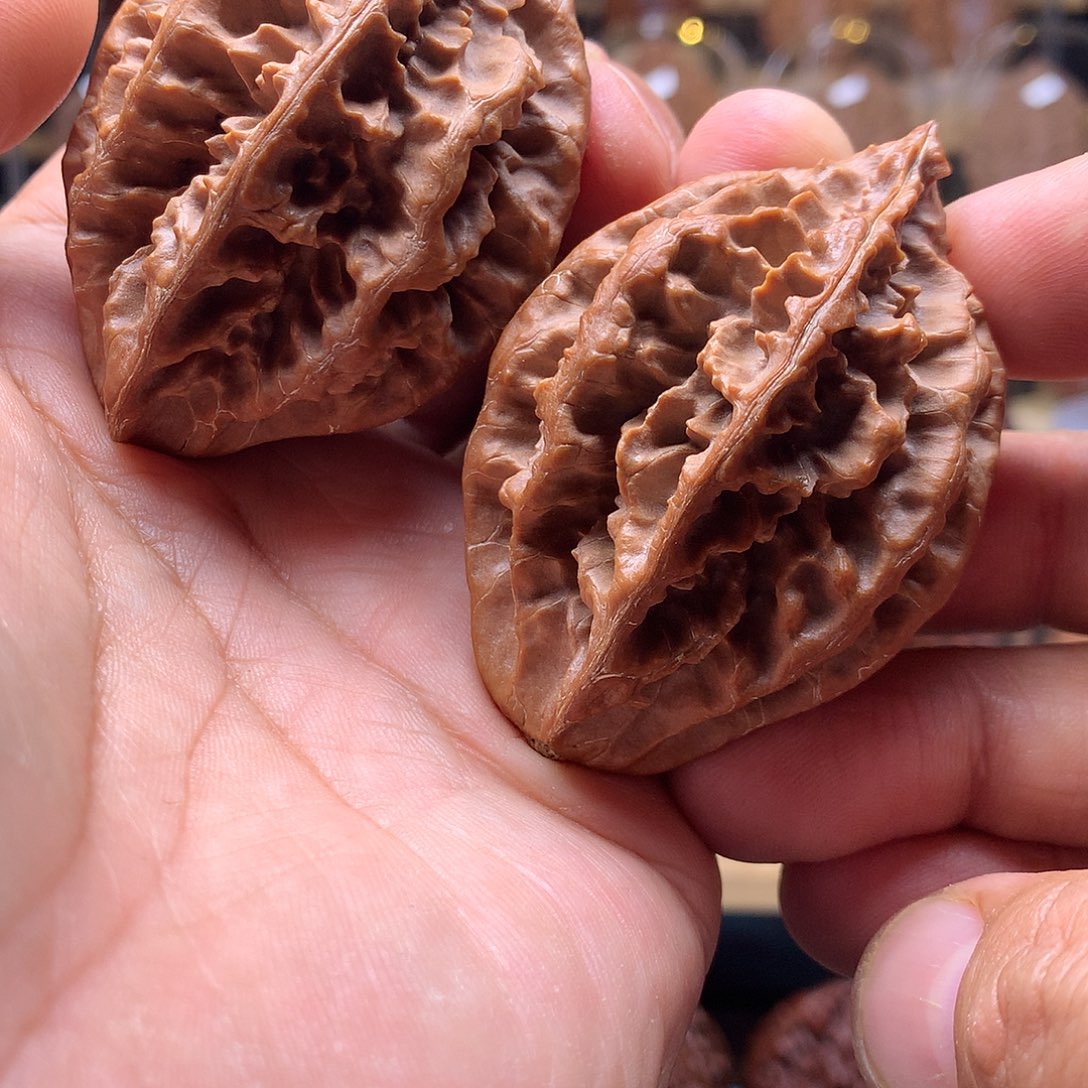 草***木把件文玩核桃东北楸子文玩核桃