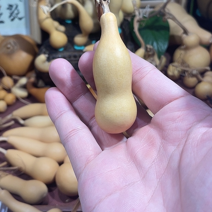 ，，，，，，，，，，，，，，，，