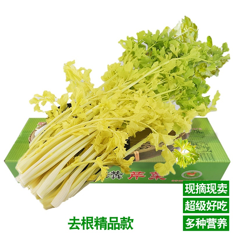 【精品菜】山东平度马家沟芹菜空心芹菜黄绿相间一秒开花生吃凉拌包包子包饺子芹菜
