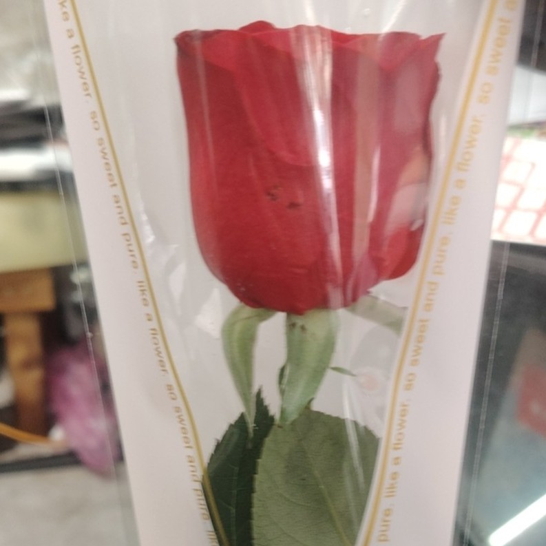 情人节单支玫瑰花束