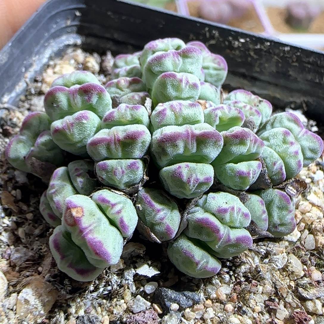 哈哈哈哈哈哈哈50709
