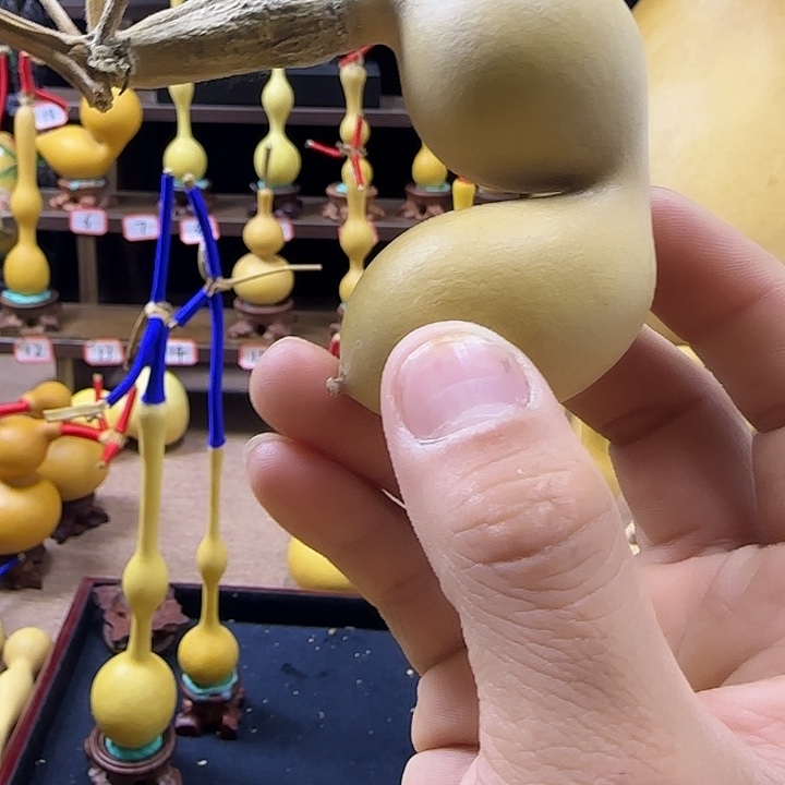 葫芦一***皇8888888888