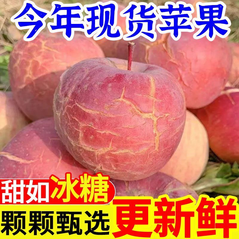 山东膜袋冰糖心红富士新鲜脆甜多汁当季应季水果产地直发