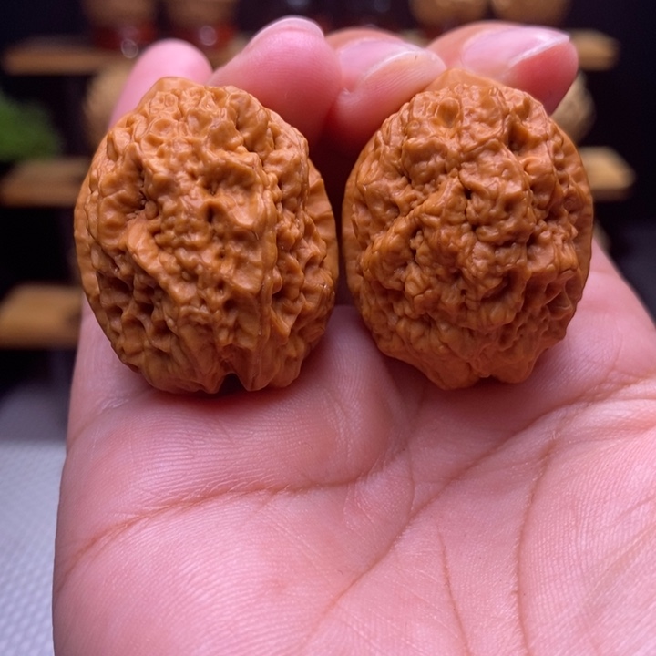 黑***使木质类云铁金麒麟4号尖有修