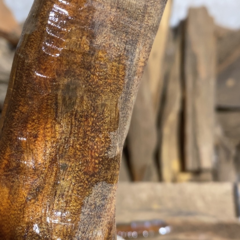 【闪购商品】贡木其他菜**子定制12345679908