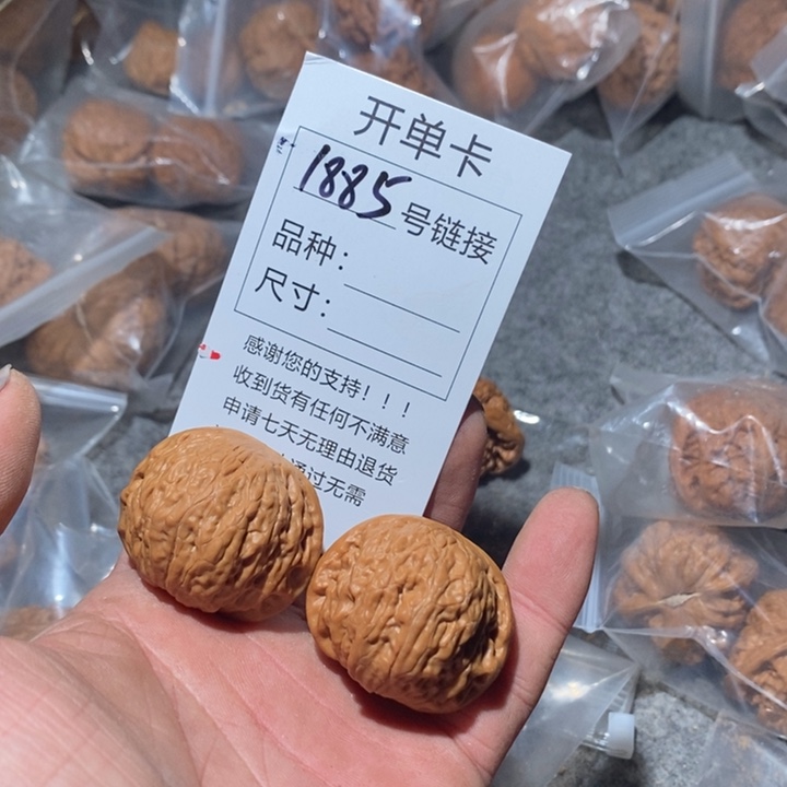 文玩核桃把件1885，咯摸摸哦哦哦哦哦