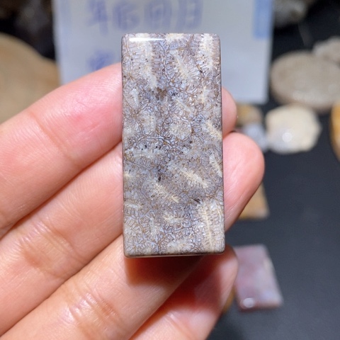 【闪购商品】硅化玉吊坠(不含链)未镶嵌