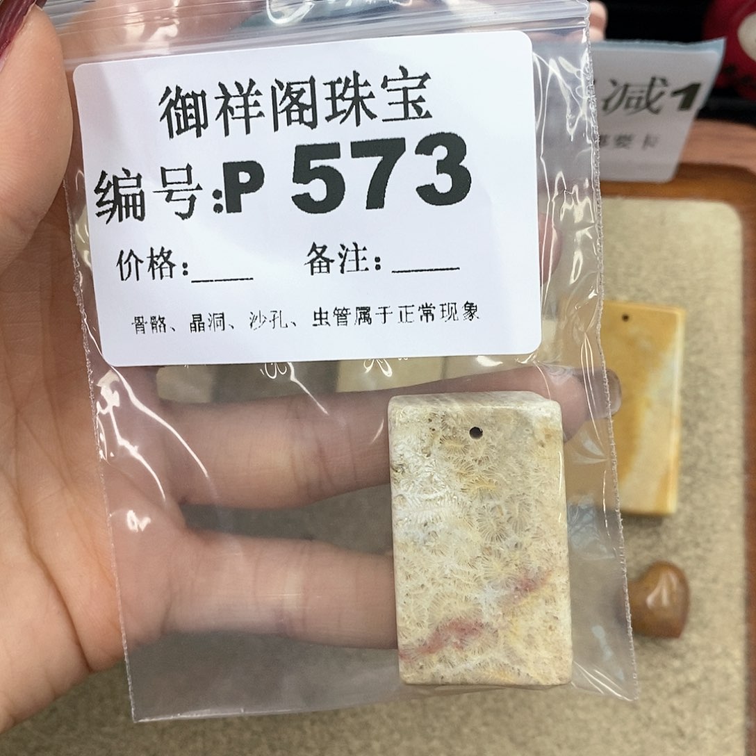 硅化珊瑚（珊瑚玉）P未镶嵌干*橘