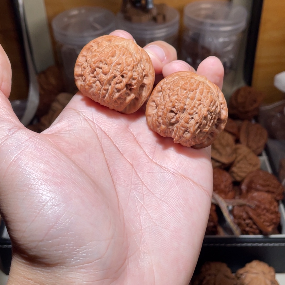 39尺寸全品无修血麒麟