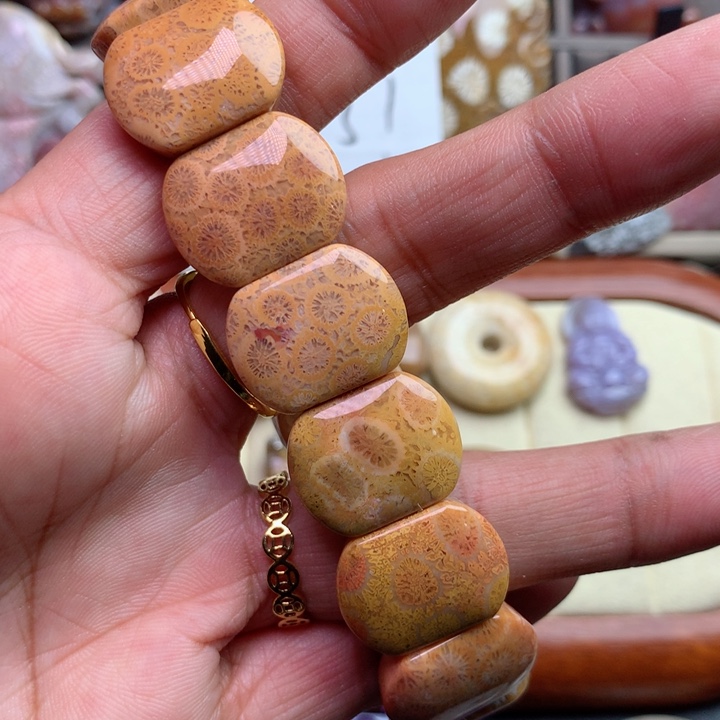 硅化珊瑚（珊瑚玉）颈饰未镶嵌