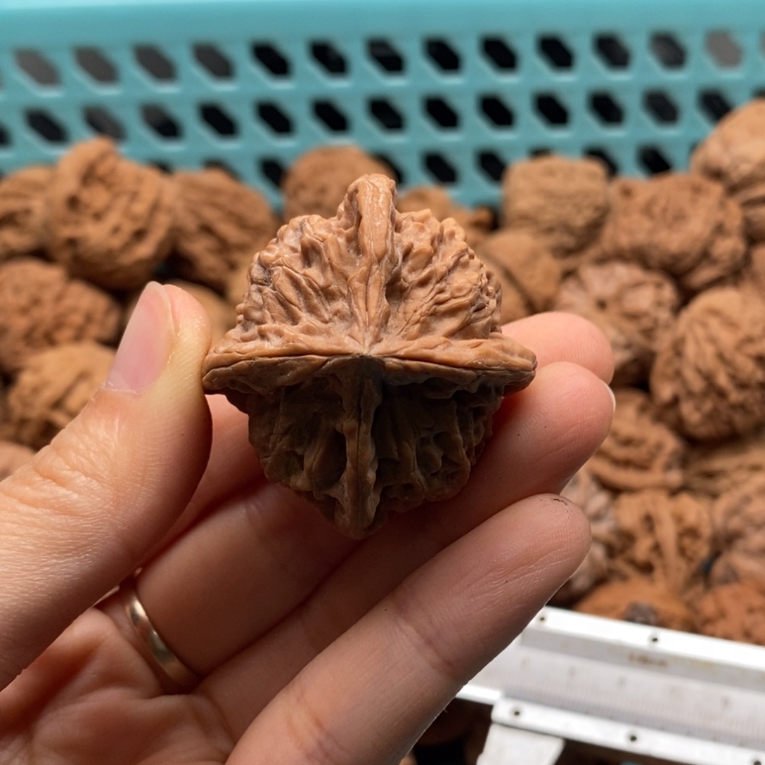 左***哥核桃定制商品不退不换