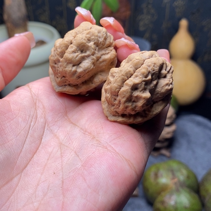 核桃云南野生铁核桃小金蟾