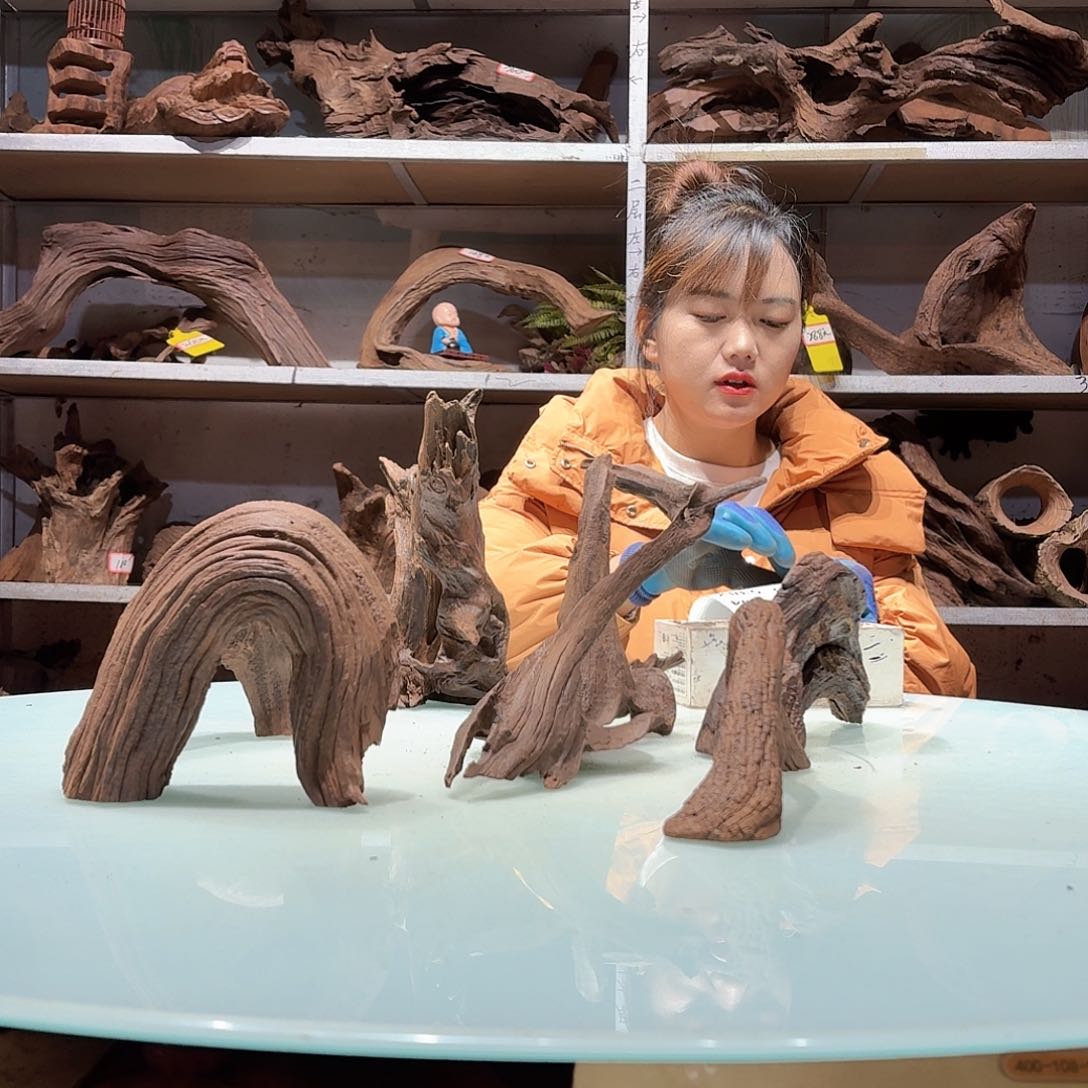 倍诸沉木不包损必褪色ᅟᅠ5379-6